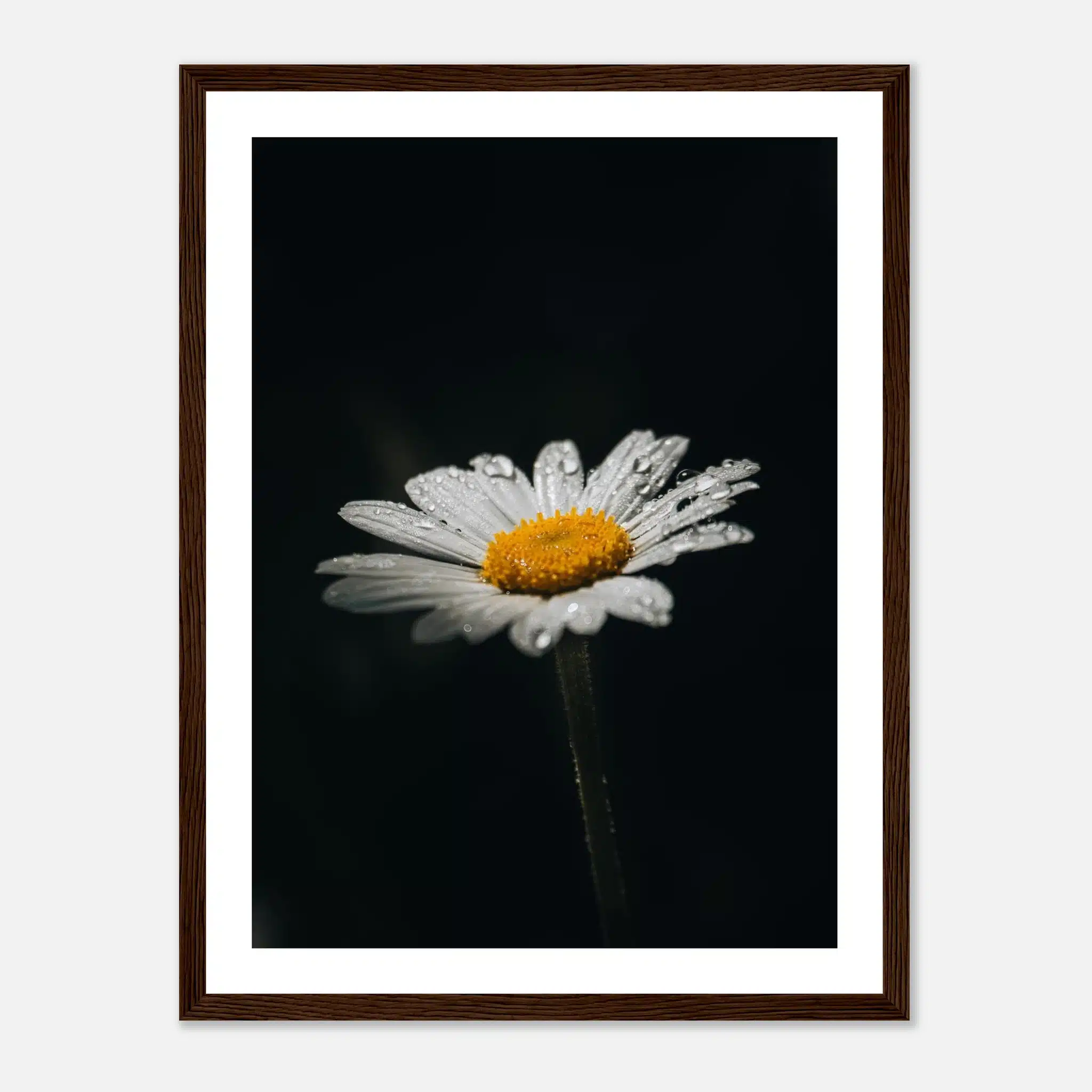 c0280f75-e5c5-4dd8-8d88-e49cd61bc5c6