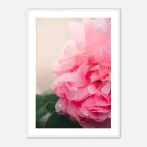 c31cebcf-4a75-435d-b40a-1e3a60e9e940