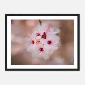 c9485b32-1130-4115-a927-a1b3301da140