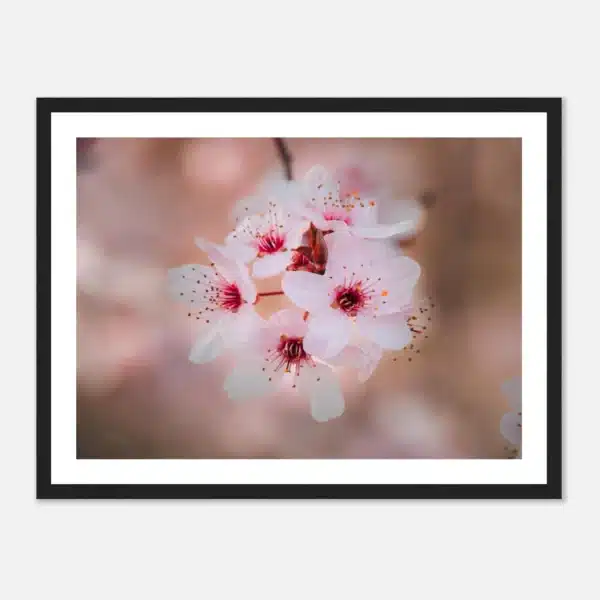 c9485b32-1130-4115-a927-a1b3301da140