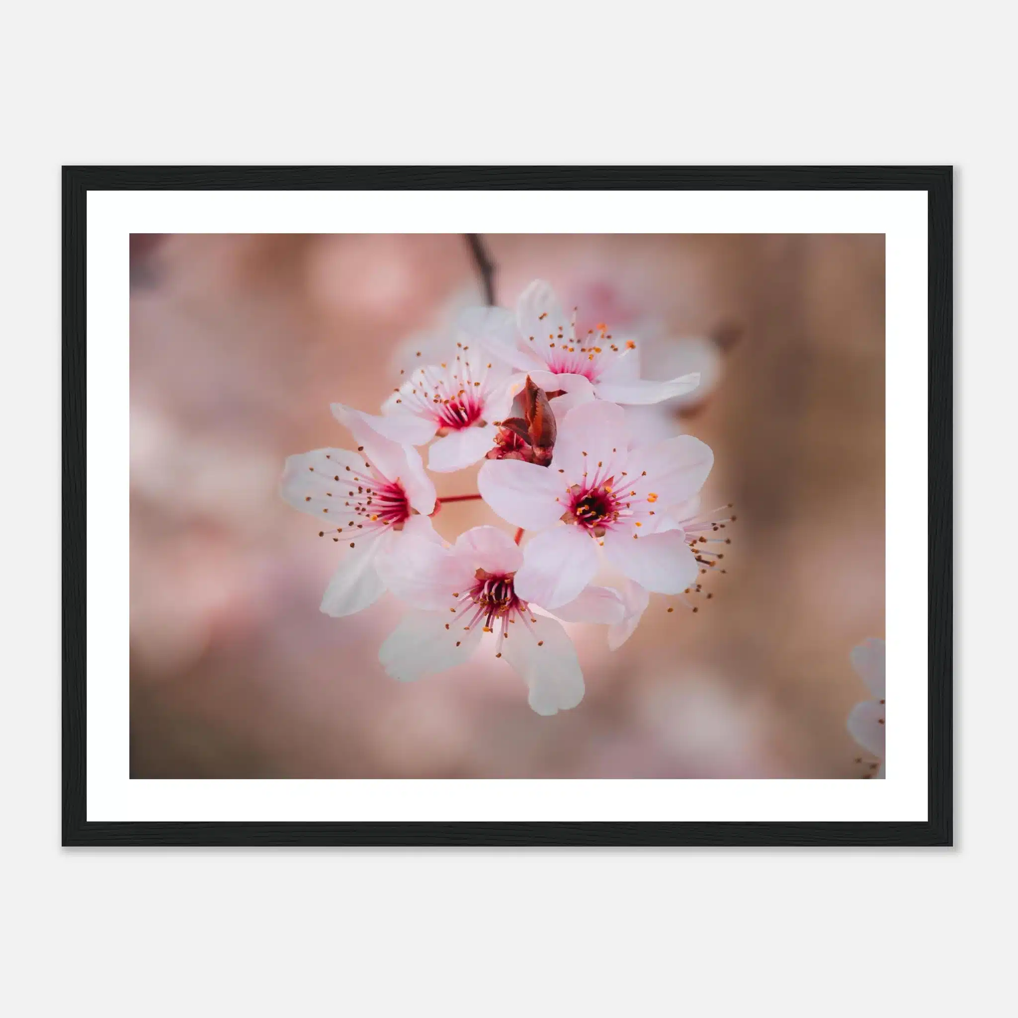 c9485b32-1130-4115-a927-a1b3301da140