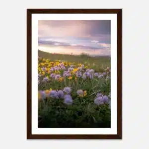 c9f053d3-7f8f-402c-aea3-71296bfb2d5d