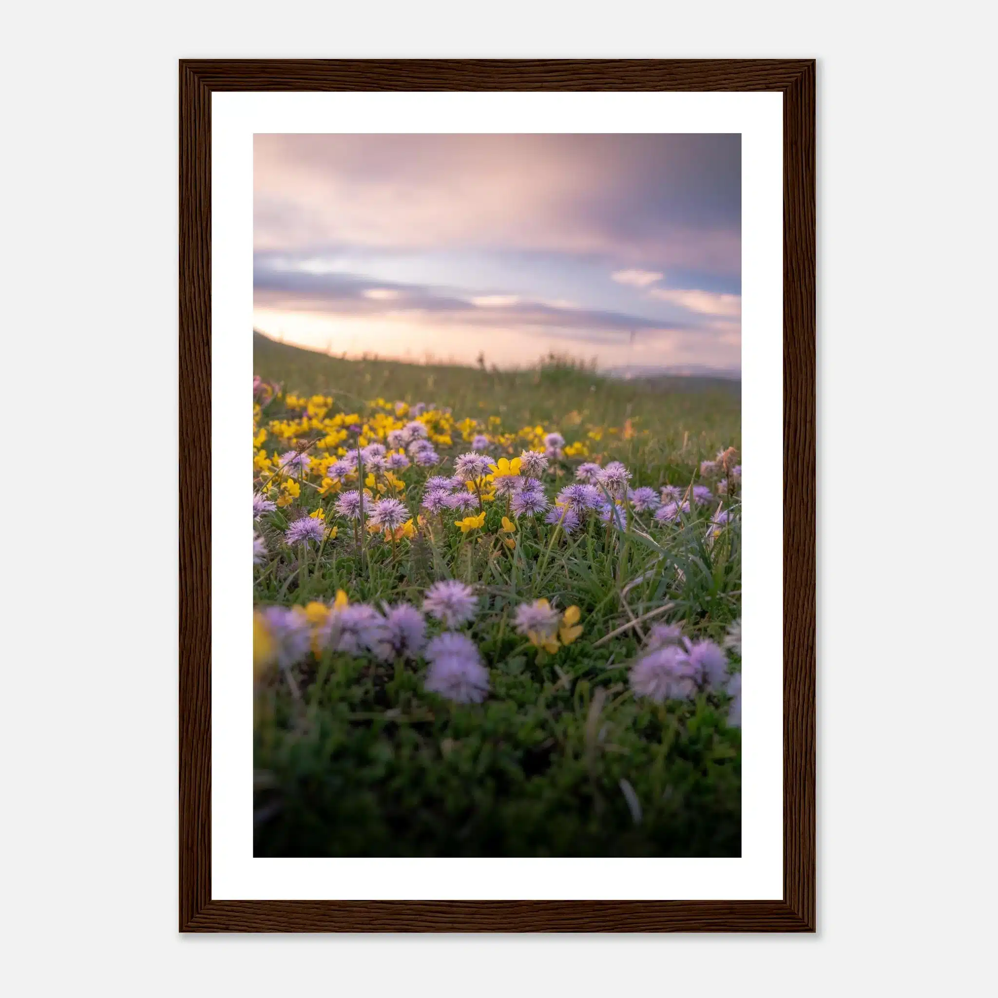 c9f053d3-7f8f-402c-aea3-71296bfb2d5d