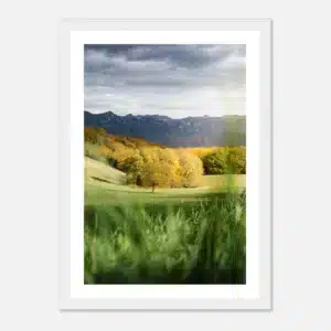 d04a7937-fafe-4ad2-9720-77f97080e0b1