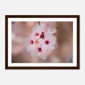 d05a16ab-f781-4300-88f9-67e91ee235de