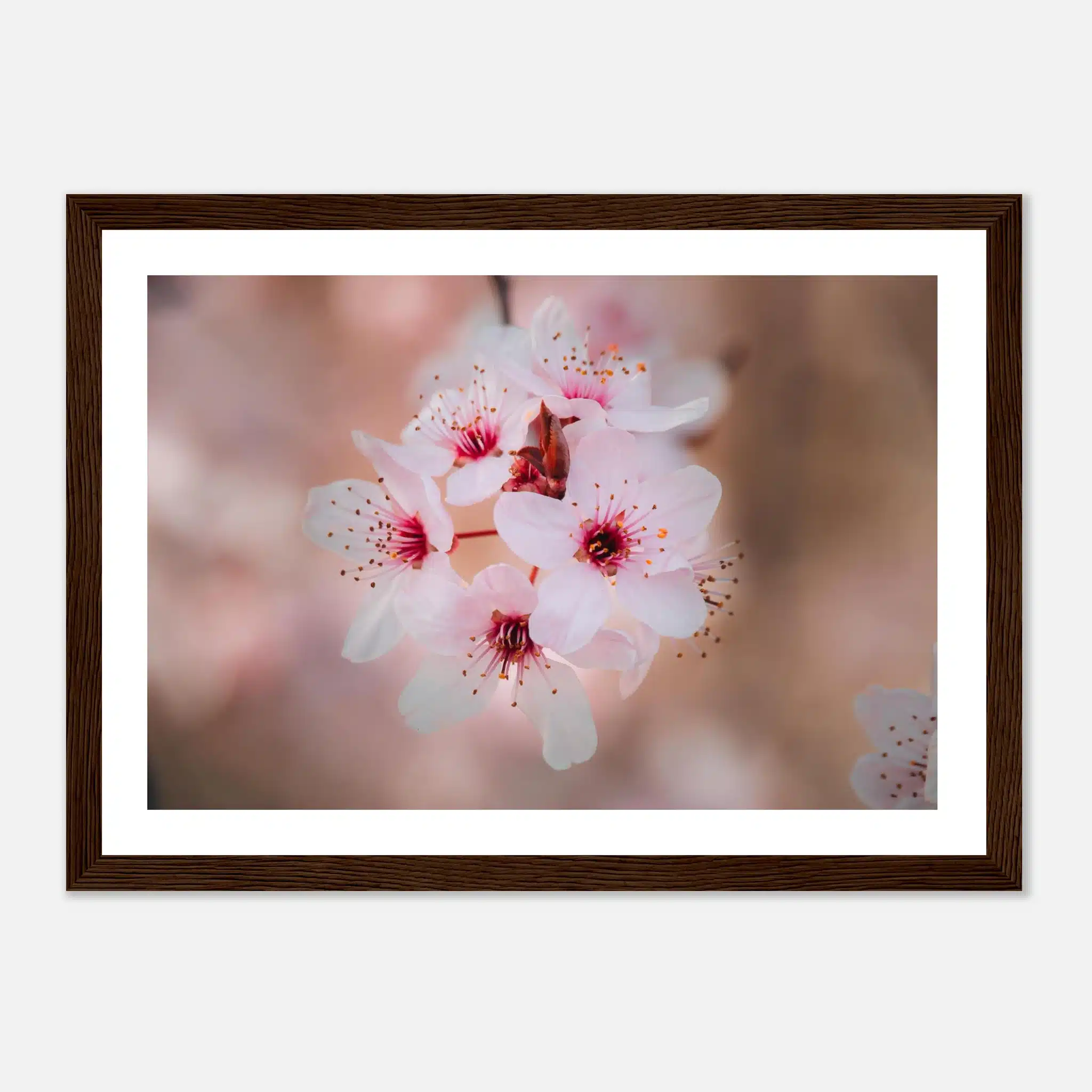 d05a16ab-f781-4300-88f9-67e91ee235de