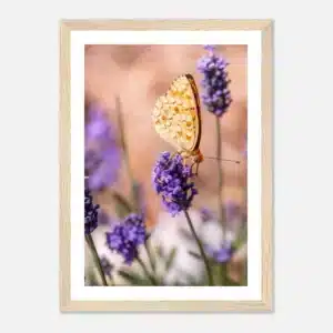 d3e5d4c9-a505-478e-b049-fee031d94036