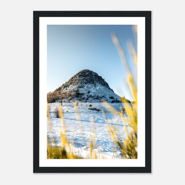 d48de328-b783-43f9-85ca-0b96d1c4a60e