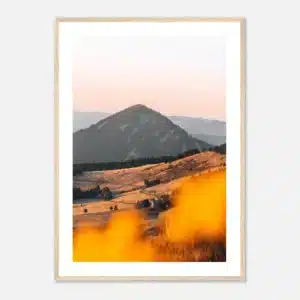 d5c08548-bb55-4692-b9f5-958af56e43f1