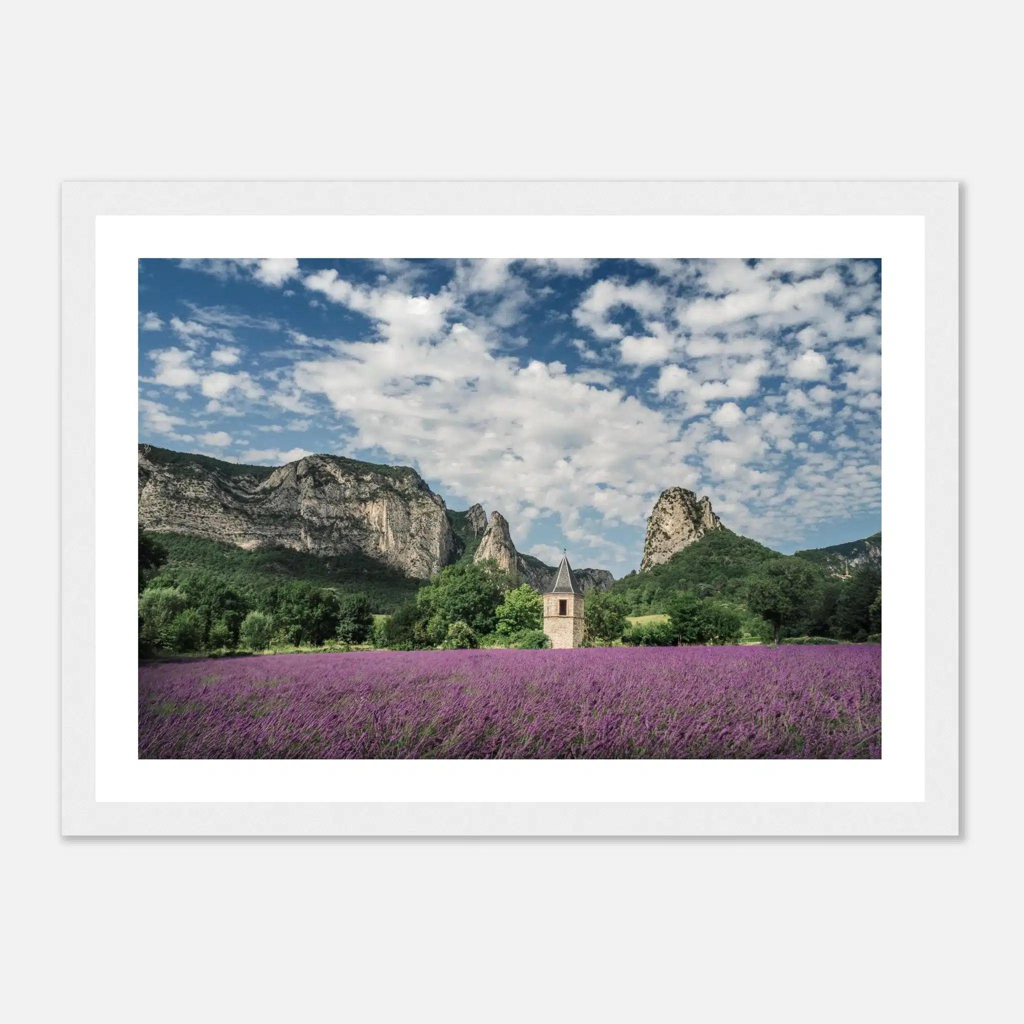 d70b0bb6-4941-400c-bb6a-ab6dafe3cdcd