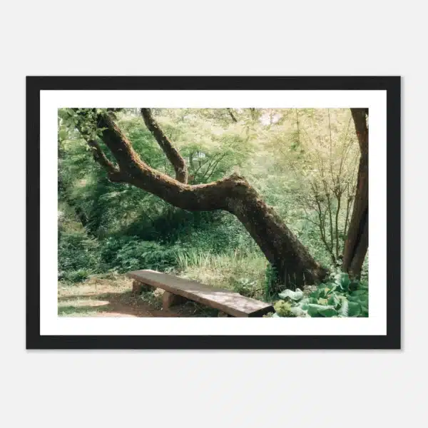 d8b894dc-d602-4921-9b09-0321de1c4686