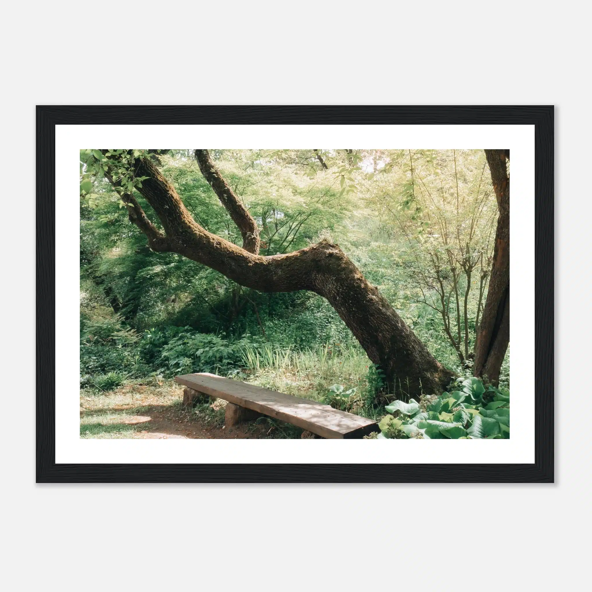 d8b894dc-d602-4921-9b09-0321de1c4686