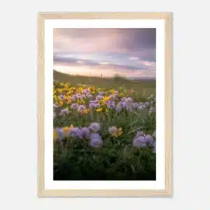 dd9323da-a207-4c3c-bd89-0535a12b9e80