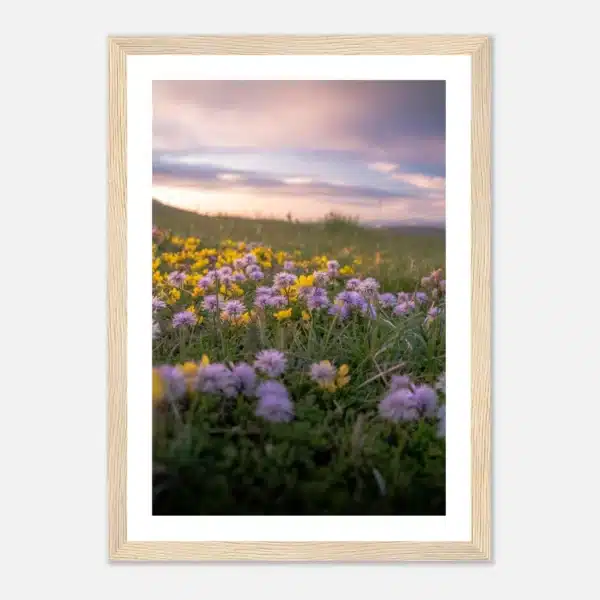 dd9323da-a207-4c3c-bd89-0535a12b9e80