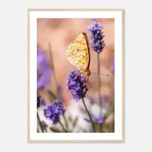 df653f7f-7829-4e95-9968-1ceea11142ea