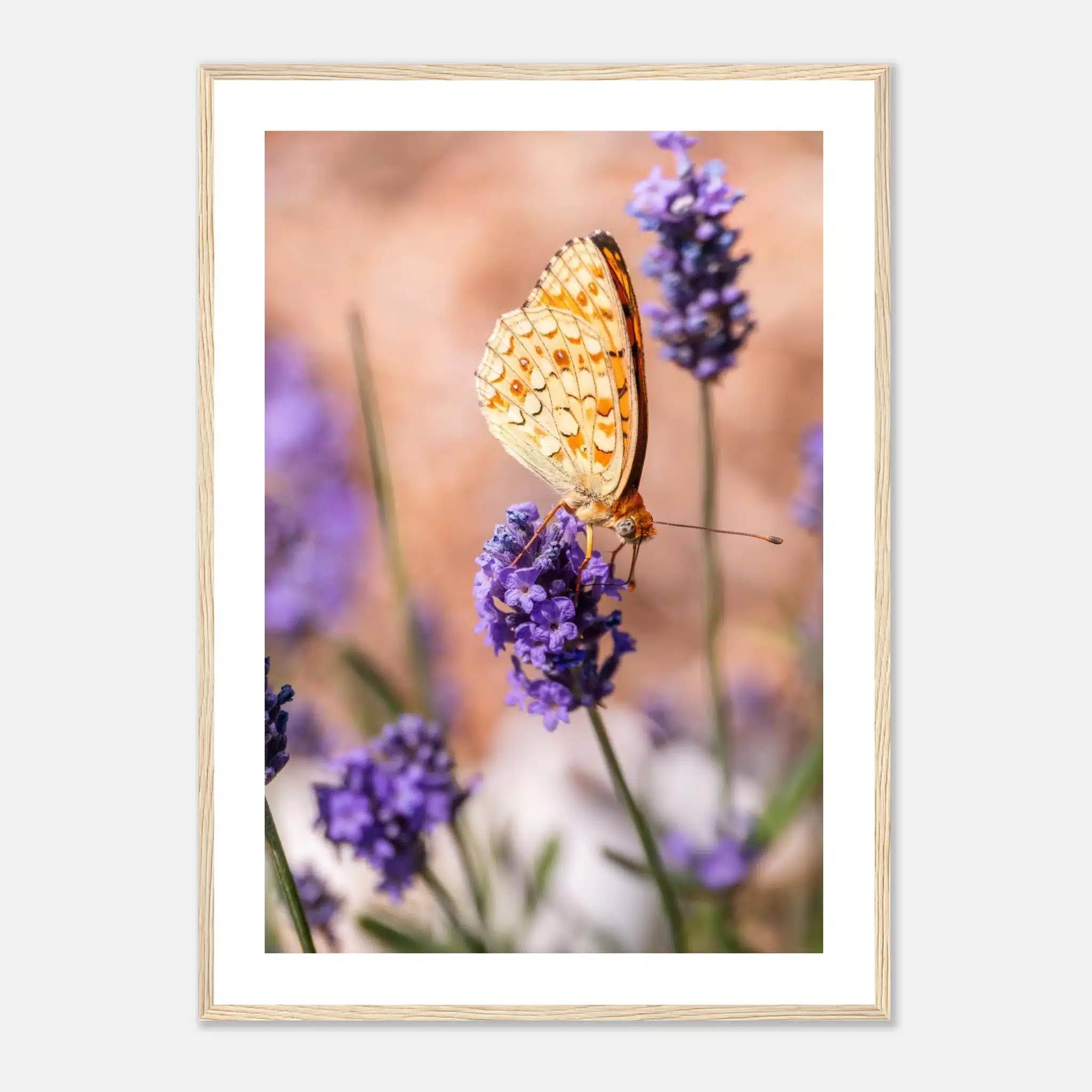 df653f7f-7829-4e95-9968-1ceea11142ea