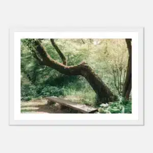 e264a388-626e-4ba9-9b50-45b5f21d68a5