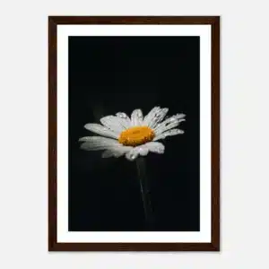 e38ba7ed-0369-4093-b890-53b367b3aa66