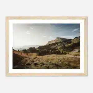 e3fbe4a8-df1d-46c6-8ba8-0f3d69d05b0e