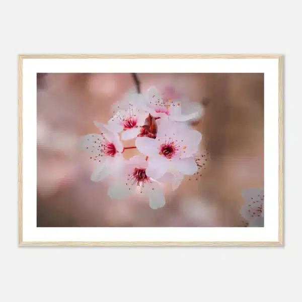 e6716781-eff6-4c59-8c3f-fbe075de1800