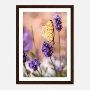 e77ee28f-b27b-47a4-b5bb-aa1c8aab4f50