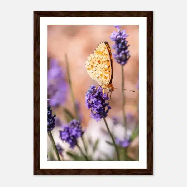 e77ee28f-b27b-47a4-b5bb-aa1c8aab4f50