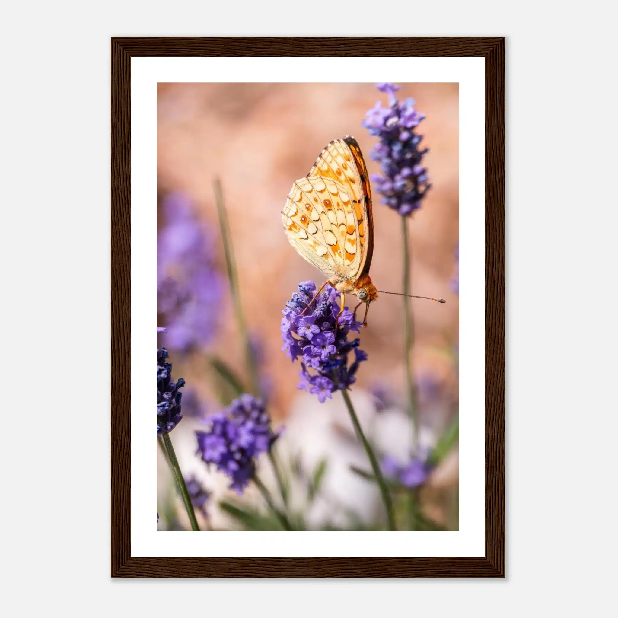 e77ee28f-b27b-47a4-b5bb-aa1c8aab4f50