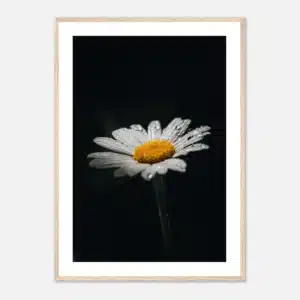 e82a7e95-c6fb-4338-be96-264cfa4c51ef