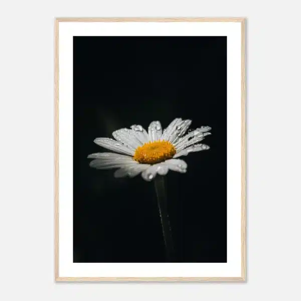 e82a7e95-c6fb-4338-be96-264cfa4c51ef