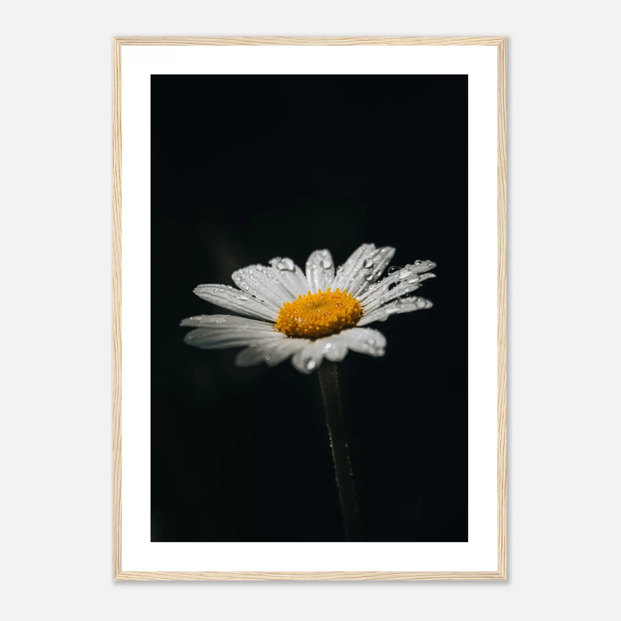 e82a7e95-c6fb-4338-be96-264cfa4c51ef