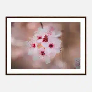 eaa52041-01b1-4d5a-bfb8-fc146fa9bfe6