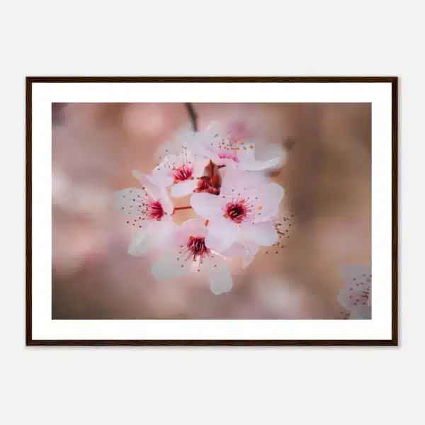 eaa52041-01b1-4d5a-bfb8-fc146fa9bfe6