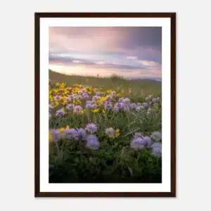 eb8d03cf-dbda-4930-a644-6f106fdf4a2d