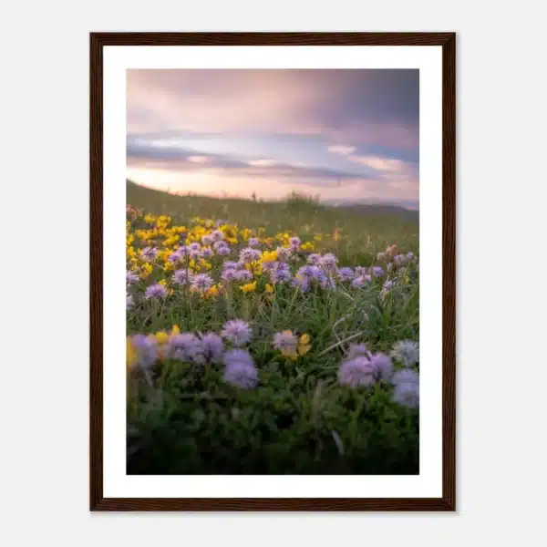 eb8d03cf-dbda-4930-a644-6f106fdf4a2d