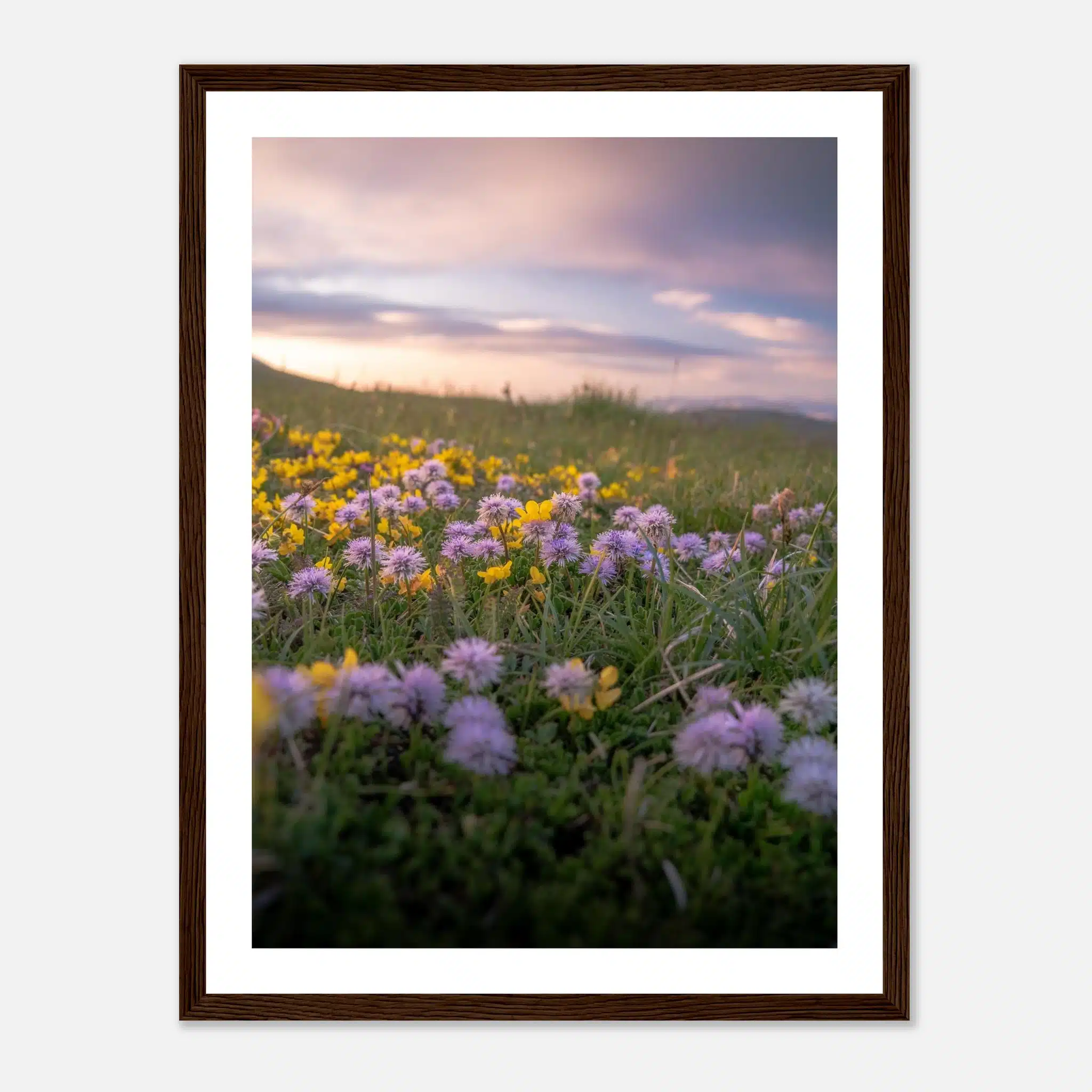 eb8d03cf-dbda-4930-a644-6f106fdf4a2d